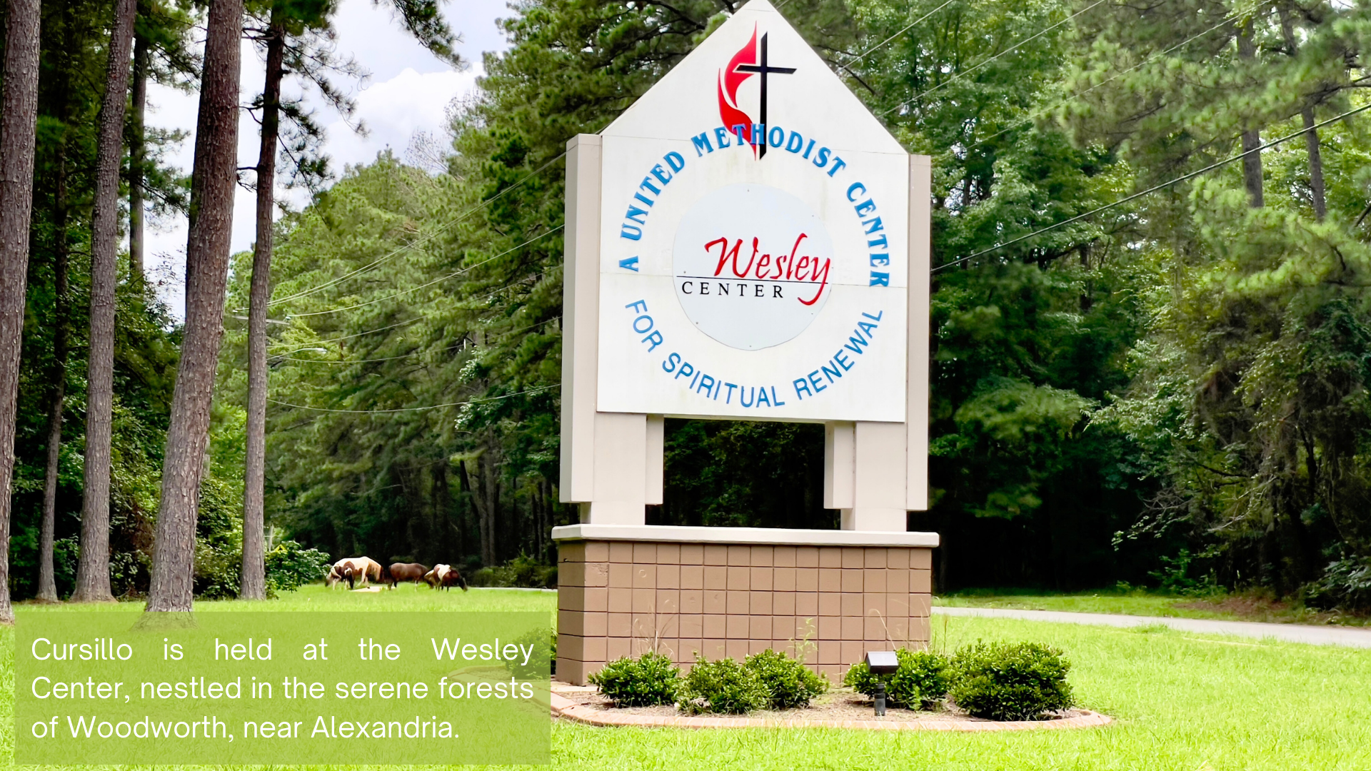 Cursillo is held at the Wesley Center, nestled in the serene forests of Woodworth, near Alexandria.